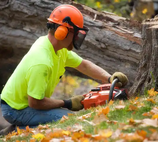 tree services Au Sable Forks